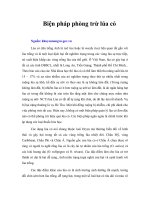 Tài liệu Biện pháp phòng trừ lúa cỏ doc