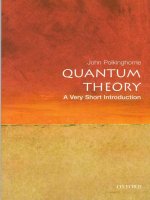 Quantum theory: A very short introduction 