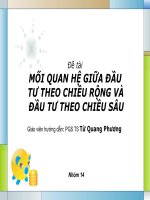 MỐI QUAN HỆ GIỮA ĐẦU TƯ THEO CHIỀU RỘNG VÀ ĐẦU TƯ THEO CHIỀU SÂU