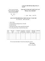 Tài liệu Mẫu báo cáo tình hình hoạt động đo đạc và bản đồ pdf