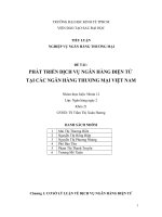PHÁT TRIỂN DỊCH vụ NGÂN HÀNG điện tử tại các NGÂN HÀNG THƯƠNG mại VIỆT NAM 