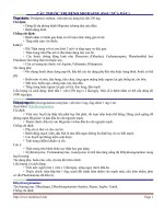 Tài liệu CÁC THUỐC TRỊ BỆNH MIGRAINE (ĐAU NỬA ĐẦU) pdf