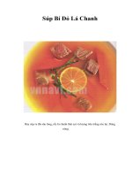 Tài liệu Súp Bí Đỏ Lá Chanh pptx