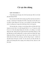 Tài liệu Cà vạt cho chàng pptx