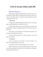 Tài liệu Canh tác lúa gieo thẳng ở phía Bắc doc