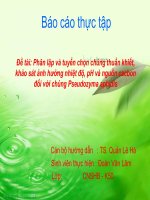 Tài liệu Đề tài: Phân lập và tuyển chọn chủng thuần khiết, khảo sát ảnh hưởng nhiệt độ, pH và nguồn cacbon đối với chủng Pseudozyma aphidis ppt