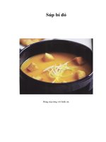 Tài liệu Súp bí đỏ pdf