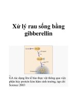 Tài liệu Xử lý rau sống bằng gibberellin docx