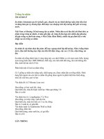 Tài liệu Trồng Sa nhân ppt