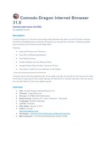 Comodo dragon internet browser 31 0 