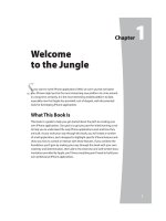 Tài liệu Lập trình iPhone part 1 pptx