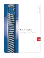 Tài liệu Patch-by-Exception doc
