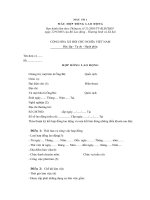 Tài liệu BIỂU MẪU 