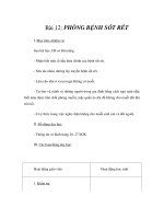 Tài liệu Gíao án 6 - PHÒNG BỆNH SỐT RÉT doc