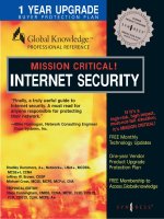 Tài liệu Mission Critical! Internet Security pptx