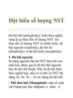 Tài liệu Đột biến số lượng NSTĐa bội thể pdf