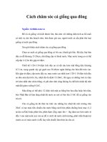 Tài liệu Cách chăm sóc cá giống qua đông pdf