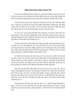 Tài liệu NÔNG DÂN TRẢ LƯƠNG CHO KỸ SƯ doc