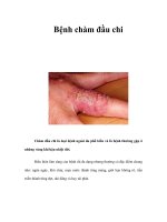 Tài liệu Bệnh chàm đầu chi ppt