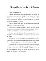 Tài liệu Cách ra bầu cây con đạt tỷ lệ sống cao pdf