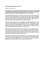 Tài liệu Cảnh báo pin laptop giả và tái chế pdf