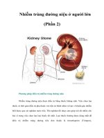 Tài liệu Nhiễm trùng đường niệu ở người lớn (Phần 2) docx