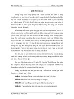 Phương hướng phát triển của công ty trong thời gian tới 