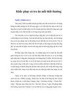 Tài liệu Khắc phục cá tra ăn mồi thất thường docx