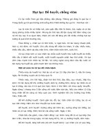 Tài liệu Hạt lạc: Bổ huyết, chống viêm ppt