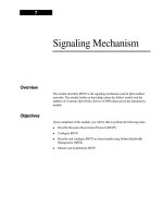 Tài liệu Signaling Mechanism pdf