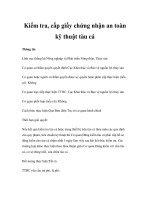 Tài liệu Kiểm tra, cấp giấy chứng nhận an toàn kỹ thuật tàu cá pdf