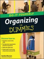 Organizing for dummies