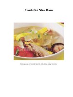Tài liệu Canh Gà Nha Đam doc