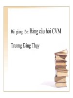 Tài liệu Bài giảng 15c - Bảng câu hỏi CVM pdf