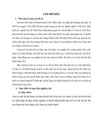 Báo cáo mức độ hài lòng chất lượng dịch vụ xe bus