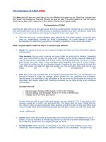 Tài liệu The Importance of E-Mail pptx