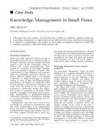 Tài liệu Knowledge Management in Small Firms docx