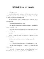 Tài liệu Kỹ thuật trồng cây rau dền doc