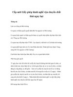 Tài liệu Cấp mới Giấy phép hành nghề vận chuyển chất thải nguy hại pptx