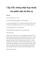 Tài liệu Cấp Giấy chứng nhận hợp chuẩn sản phẩm mật mã dân sự docx