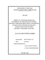 Nghiên cứu thành phần bọ phấn họ aleyrodidae, đặc điểm hình thái, sinh học, sinh thái và biện pháp phòng chống 2 loài bọ phấn aleurocanthus spiniferus quaintance, aleurocanthus woglumi ashby hại trên cây bưởi diễn tại hà nội 