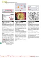 Tài liệu The Adobe Photoshop Cs4 Dictionary: The a to Z Desktop Reference of Photoshop- P5 pdf