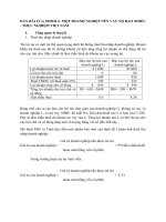 MỘT DOANH NGHIỆP nên VAY nợ BAO NHIÊU   THỰC NGHIỆM VIỆT NAM 