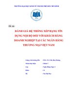 ĐÁNH GIÁ hệ THỐNG xếp HẠNG tín DỤNG nội bộ đối với KHÁCH HÀNG DOANH NGHIỆP tại các NGÂN HÀNG THƯƠNG mại VIỆT NAM 