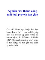 Tài liệu Nghiên cứu thành công một loại protein tạp giao docx