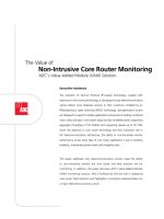 Tài liệu Non-Intrusive Core Router Monitoring pptx