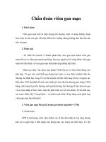 Tài liệu Chẩn đoán viêm gan mạn pptx