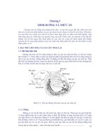 Tài liệu Chương 3: Dinh dưỡng và thức ăn docx