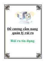 Tài liệu Đề cương cẩm nang quản lý rủi ro: Rủi ro tín dụng pptx