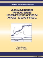 Advanced process identification & control 